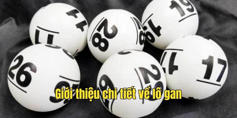 Thông tin chi tiết lô gan